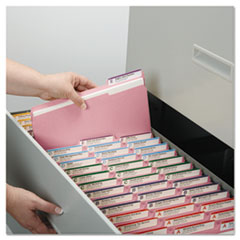 FOLDER,FILE,LTR,1/3,PINK