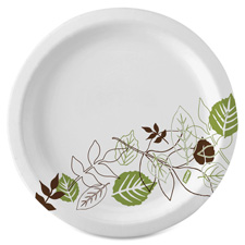 Plates, Extra Heavy Weight, 10", 125.PK, Pathways/White
