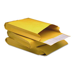ENVELOPE,RSTRP,EXPN,9X12X2