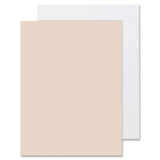 Tagboard, Heavyweight, 18"x24", 100 SH/PK, Manila