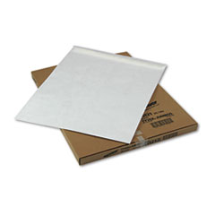 ENVELOPE,MAILER,JUMBO,18X23