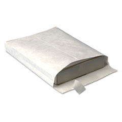 Tyvek Open-End Envelope,Plain,10"x13"x1-1/2",100/CT,White
