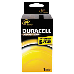 Alkaline Battery, 6 Volt Lantern